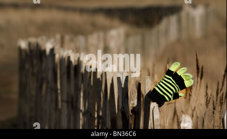 Perso il guanto sulla recinzione Foto Stock