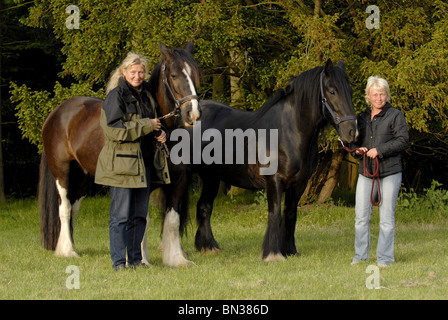 Donna con Irish Tinker Foto Stock