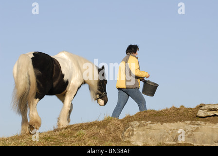 Donna con Irish Tinker Foto Stock