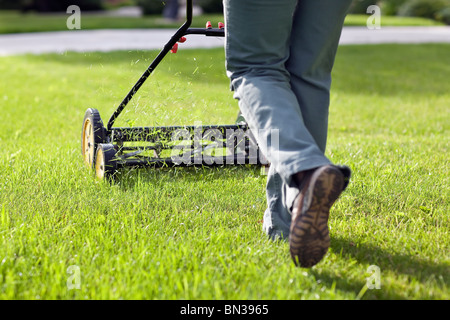 Il taglio di erba con un ecologico tosaerba. Foto Stock