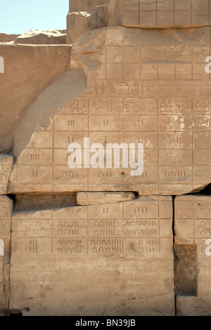 Antichi geroglifici egiziani specificamente di numeri ed il Tempio di Karnak e Luxor Egitto superiore Foto Stock