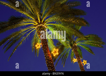 Durante la stagione di Natale palme sono decorate con luci in Normandia isola quartiere di Miami Beach, Florida, Stati Uniti d'America Foto Stock