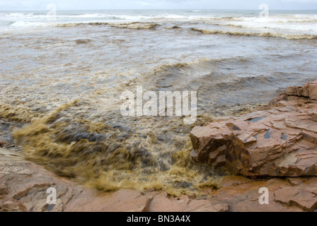 Impatto oleoso - Reportage, l'impatto di una fuoriuscita di petrolio ha sulla vita marina può essere devastante e prendere molti anni per superare. Foto Stock