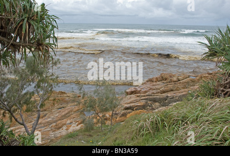 Impatto dell'olio - Reportage, il nostro impatto sull'ambiente - da fuoriuscite di olio ha un devastante effetto sulla vita marina. Foto Stock