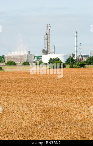 Un fertilizzante azotato impianto in Oklahoma con un maturo campo di grano in primo piano. Foto Stock