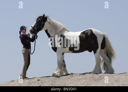 Donna con Irish Tinker Foto Stock