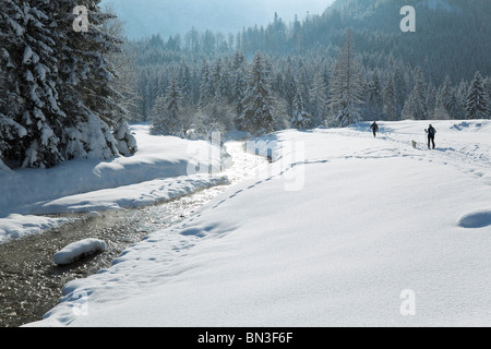 Gli escursionisti con il cane a camminare attraverso il paesaggio invernale, Salzburger Land, Austria Foto Stock