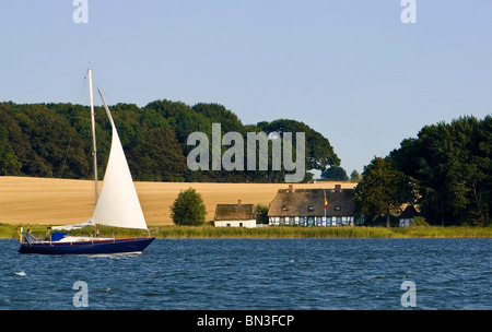 Barca a vela su Schlei, Schleswig-Holstein, Germania Foto Stock