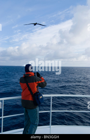 Uomo di fotografare un fuligginosa Albatross, Phoebetria fusca, da bordo di G.O. La Sars, Antartide Foto Stock