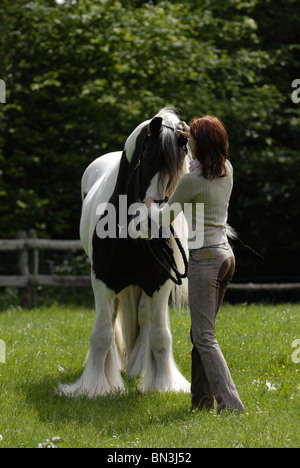 Donna con Irish Tinker Foto Stock