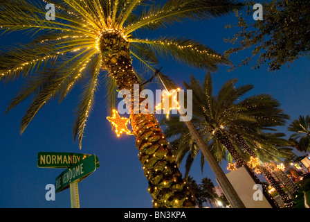 Alberi di palma decorata con le luci di Natale in Normandia isola quartiere di Miami Beach, Florida, Stati Uniti d'America Foto Stock