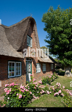 Il tetto di paglia in casa Keitum, Sylt, Germania Foto Stock