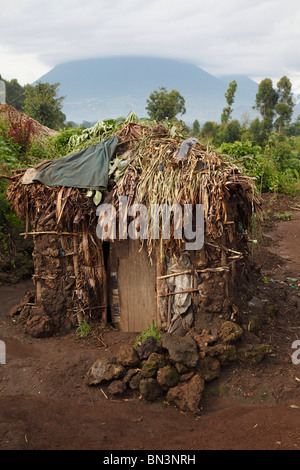 Capanna di fango in villaggio pigmeo, Uganda, Africa orientale, Africa Foto Stock