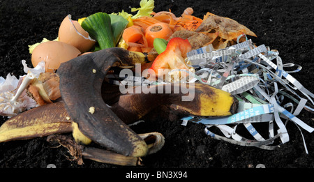 Varietà di materiali di scarto quali gusci, quotidiano e bucce di vegetali per la produzione di compost. Foto Stock