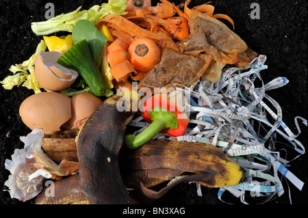 I materiali di scarto quali gusci, quotidiano e peeling vegetale su un giardino compostaggio. Foto Stock