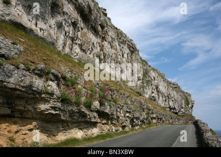 Marine Drive strada a pedaggio acceso attorno al promontorio del Great Orme, Llandudno, Galles Foto Stock