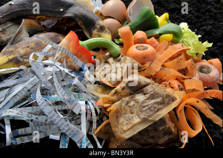 I materiali di rifiuto organici come ad esempio uova, quotidiano e peeling vegetale su un giardino compostaggio. Foto Stock