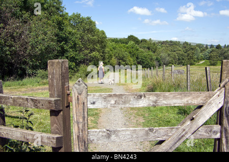 La donna a piedi un cane in MUGDOCK Country Park Aberdeen Foto Stock