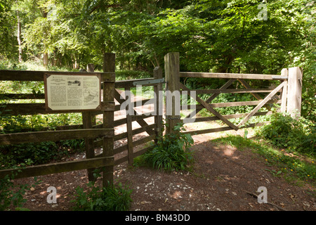 Cinque bar porta e baciare il cancello di ingresso alla National Trust pecore giù a Selborne Foto Stock