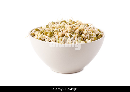 Mung Bean su sfondo bianco Foto Stock