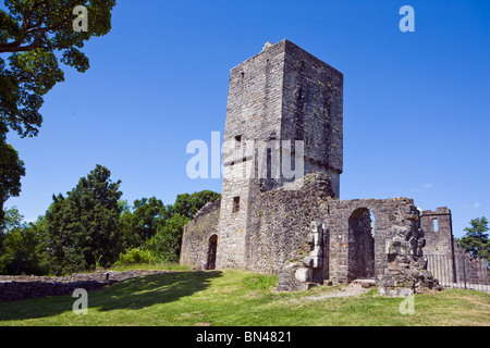 Rovine del Castello MUGDOCK VICINO MILNGAVIE GLASGOW Foto Stock