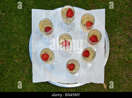 Champagne e fragole in bicchieri su un vassoio d'argento rotondo all'esterno sull'erba, sparato dall'alto. Foto Stock