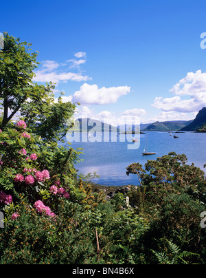 Il pittoresco Plockton in una baia riparata sul Loch Carron, popolare con gli artisti Foto Stock