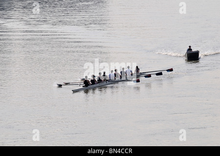 Canottaggio sul Tamigi a Hammersmith, London, Regno Unito Foto Stock