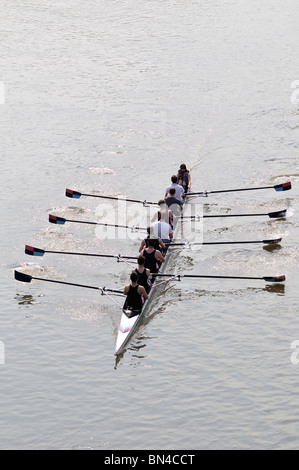 Canottaggio sul Tamigi a Hammersmith, London, Regno Unito Foto Stock