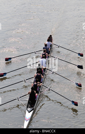 Canottaggio sul Tamigi a Hammersmith, London, Regno Unito Foto Stock