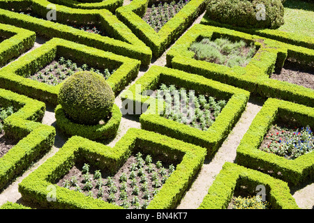 Giardino Formale in castello Pieskowa Skala in Polonia, nei pressi di Cracovia. Foto Stock