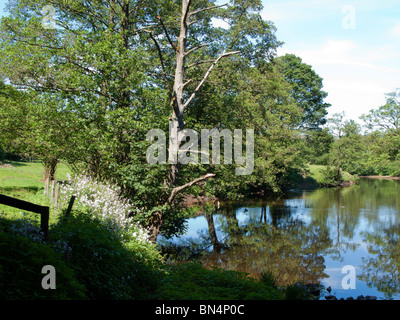 Fiume Wye a Rowsley, Peak District, Derbyshire Foto Stock