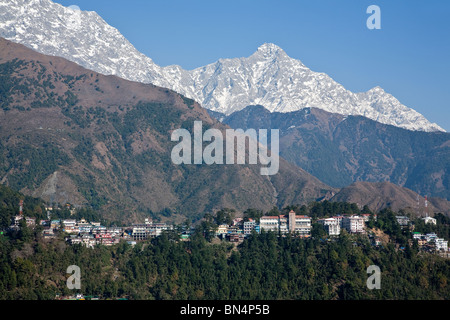 McLeod Ganj (governo del Tibet in esilio). Dharamsala. India Foto Stock
