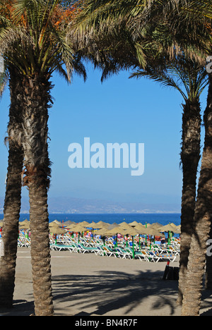 Vista della spiaggia con le palme in primo piano, Torremolinos, Costa del Sol, provincia di Malaga, Andalusia, l'Europa. Foto Stock