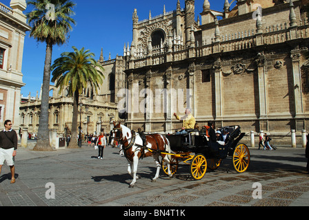 Carrozzella fuori la Cattedrale di Siviglia, provincia di Siviglia, in Andalusia, Spagna, Europa occidentale. Foto Stock
