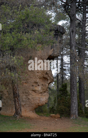 Formazione di roccia a forma di volto umano in profilo, Ciudad Encantada (Città incantata), Cuenca, Castilla la Mancha, in Spagna Foto Stock