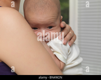 Madre tenendo un sei settimane vecchio simpatico baby boy sulle mani Foto Stock