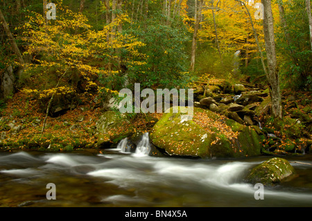 Vista autunnale di Little Pigeon River nel Parco Nazionale di Great Smoky Mountains, Tennessee, Stati Uniti d'America. Foto di Darrell giovani. Foto Stock