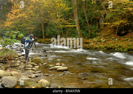 Vista autunnale di Little Pigeon River nel Parco Nazionale di Great Smoky Mountains, Tennessee, Stati Uniti d'America. Foto di Darrell giovani. Foto Stock