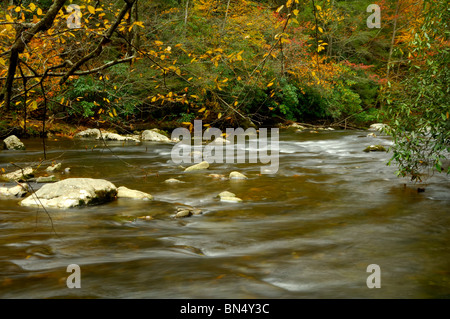 Vista autunnale di Little Pigeon River nel Parco Nazionale di Great Smoky Mountains, Tennessee, Stati Uniti d'America. Foto di Darrell giovani. Foto Stock