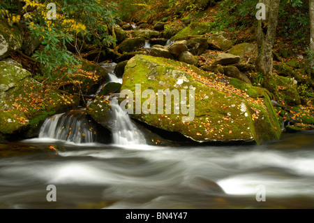 Vista autunnale di Little Pigeon River nel Parco Nazionale di Great Smoky Mountains, Tennessee, Stati Uniti d'America. Foto di Darrell giovani. Foto Stock