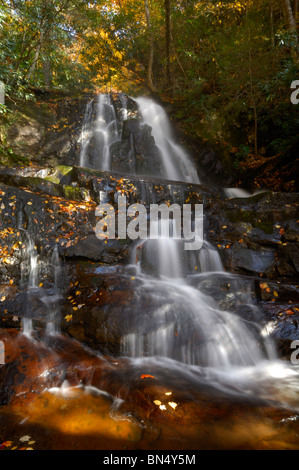 Alloro superiore cade nel Parco Nazionale di Great Smoky Mountains. Foto di Darrell giovani. Foto Stock