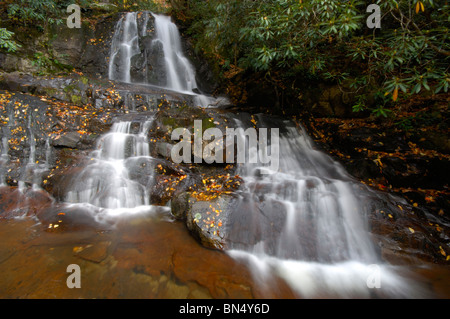 Alloro superiore cade nel Parco Nazionale di Great Smoky Mountains. Foto di Darrell giovani. Foto Stock