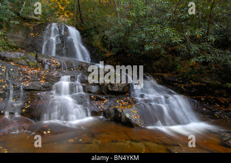 Alloro superiore cade nel Parco Nazionale di Great Smoky Mountains. Foto di Darrell giovani. Foto Stock