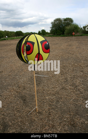 Hawk occhi vento pilotato Bird Scarer prese a Woolston occhi Riserva Naturale, Warrington, Regno Unito Foto Stock