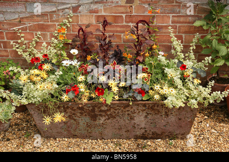 Interessanti offerte estive fiori in mostra in un vecchio arrugginito trogolo accanto a un muro di mattoni in un pittoresco paese di lingua inglese giardino Foto Stock