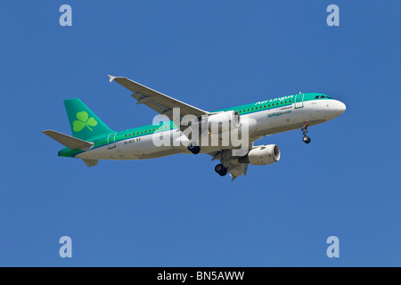 Un Airbus A320 della compagnia aerea irlandese Aer Lingus Foto Stock