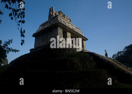 Il Tempio del sole nell'antica città maya di Palenque, Chiapas, Messico. Foto Stock