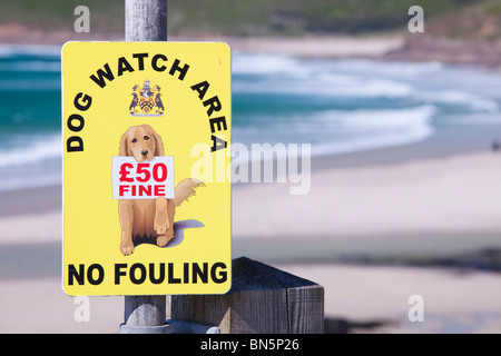 Un segno sul lungomare a Sennen Cove circa cane incrostazione, Cornwall, Regno Unito. Foto Stock