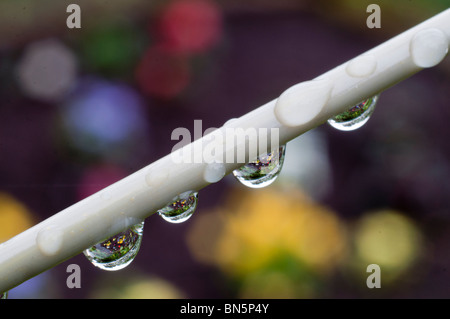 Un giardino di fiori colorati si riflette in quattro gocce di acqua su una linea di lavaggio. Foto Stock